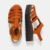Art | 1575 | Brighton | Dark Orange