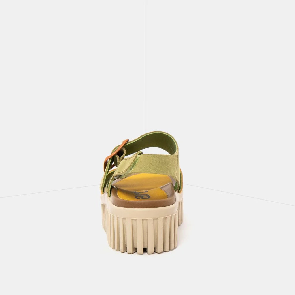 Art | 1578 Brighton |Multi Liken-Honey
