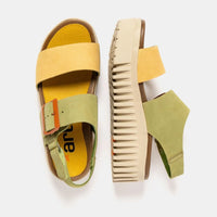 Art | 1578 Brighton |Multi Liken-Honey