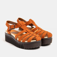 Art | 1575 | Brighton | Dark Orange
