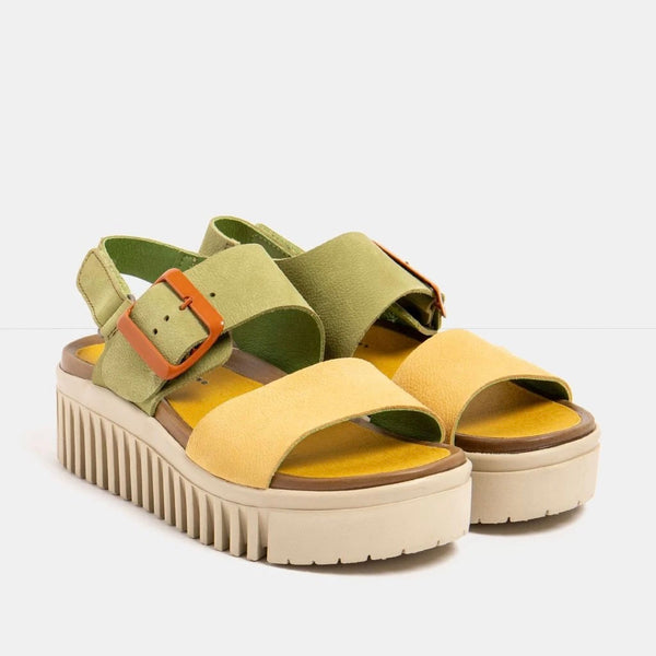 Art | 1578 Brighton |Multi Liken-Honey