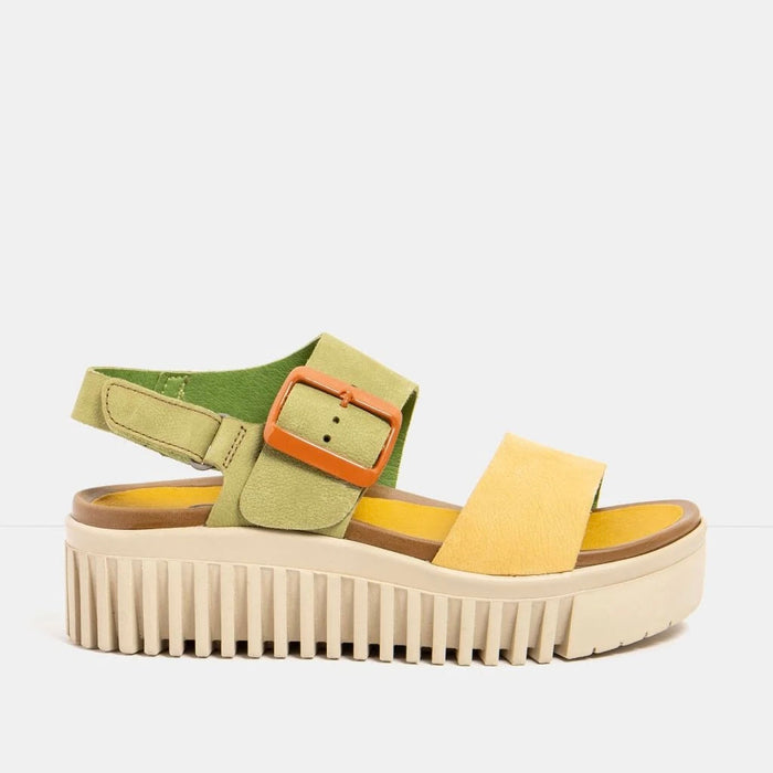 Art | 1578 Brighton |Multi Liken-Honey