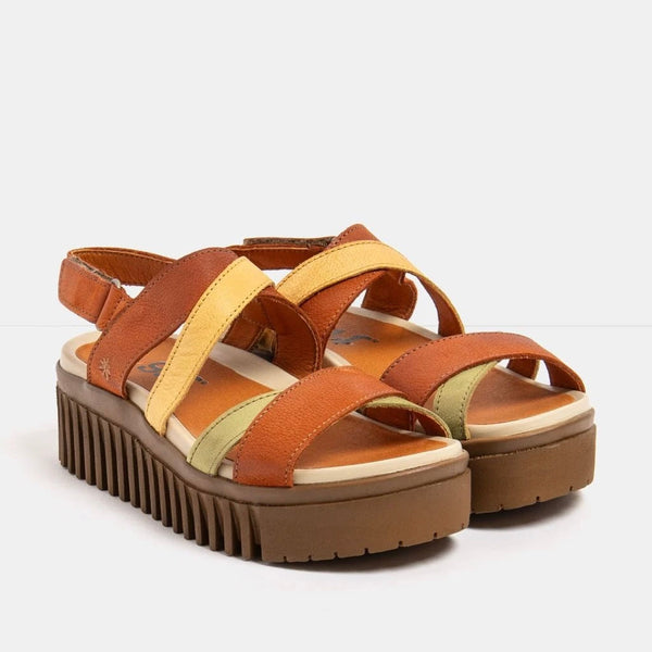 Art | 1676 | Brighton | Dark Orange/ Honey