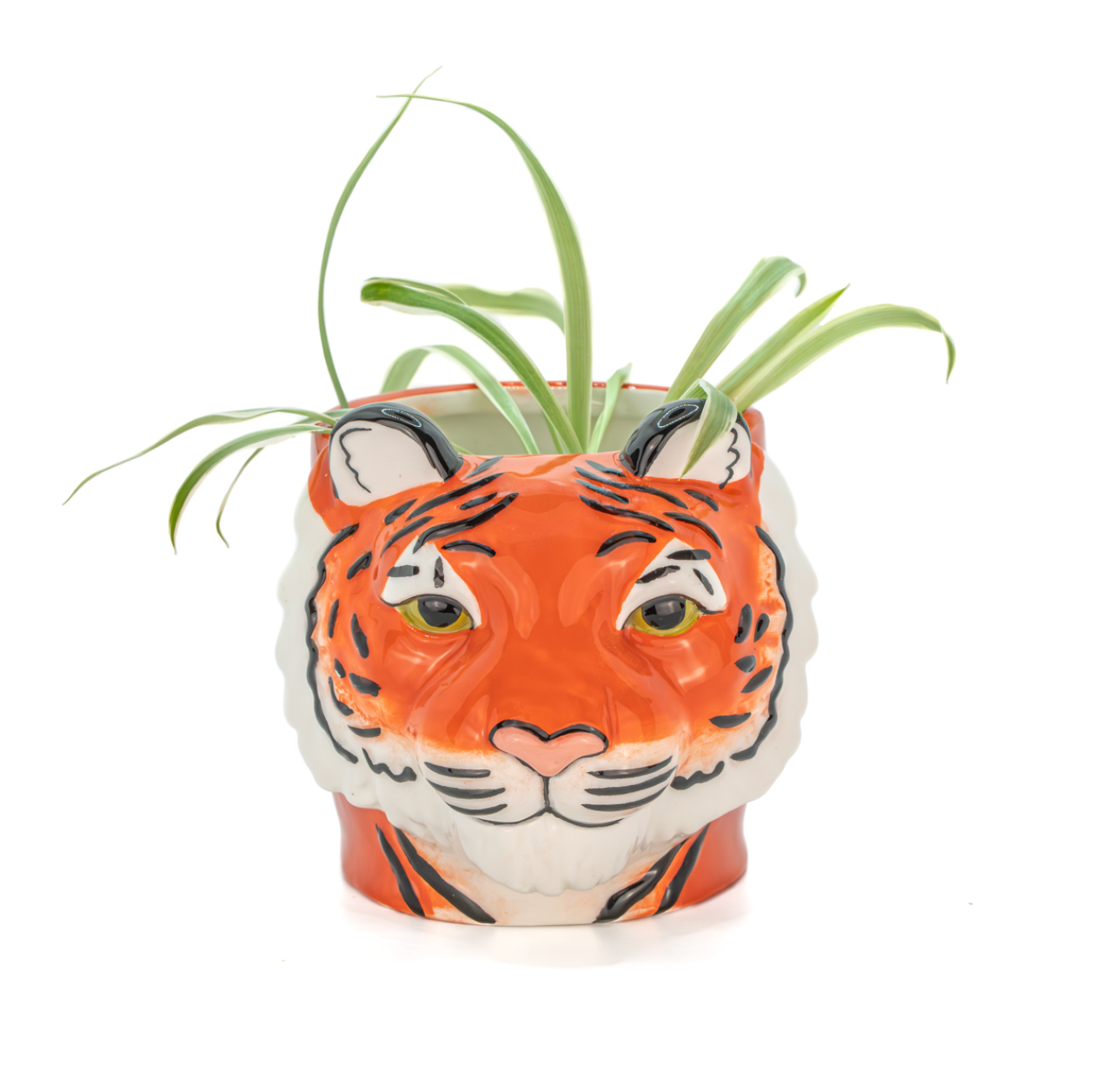 Tiger Planter