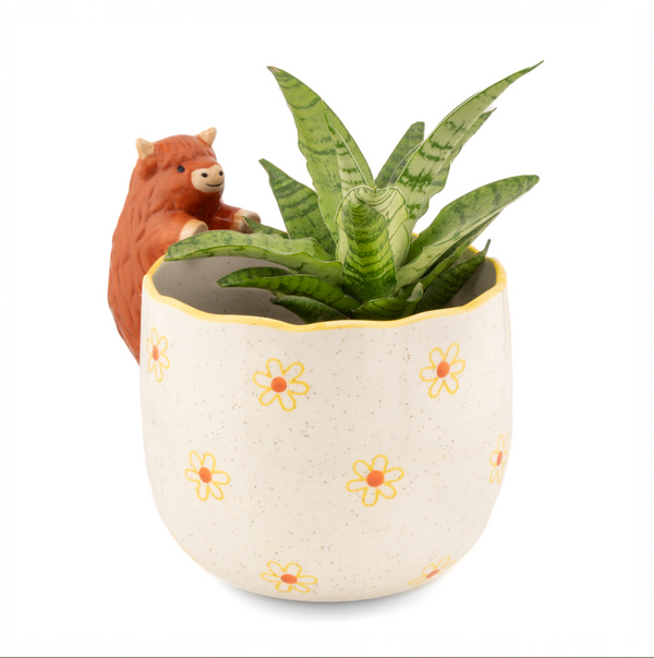Peeking Highland Cow Planter