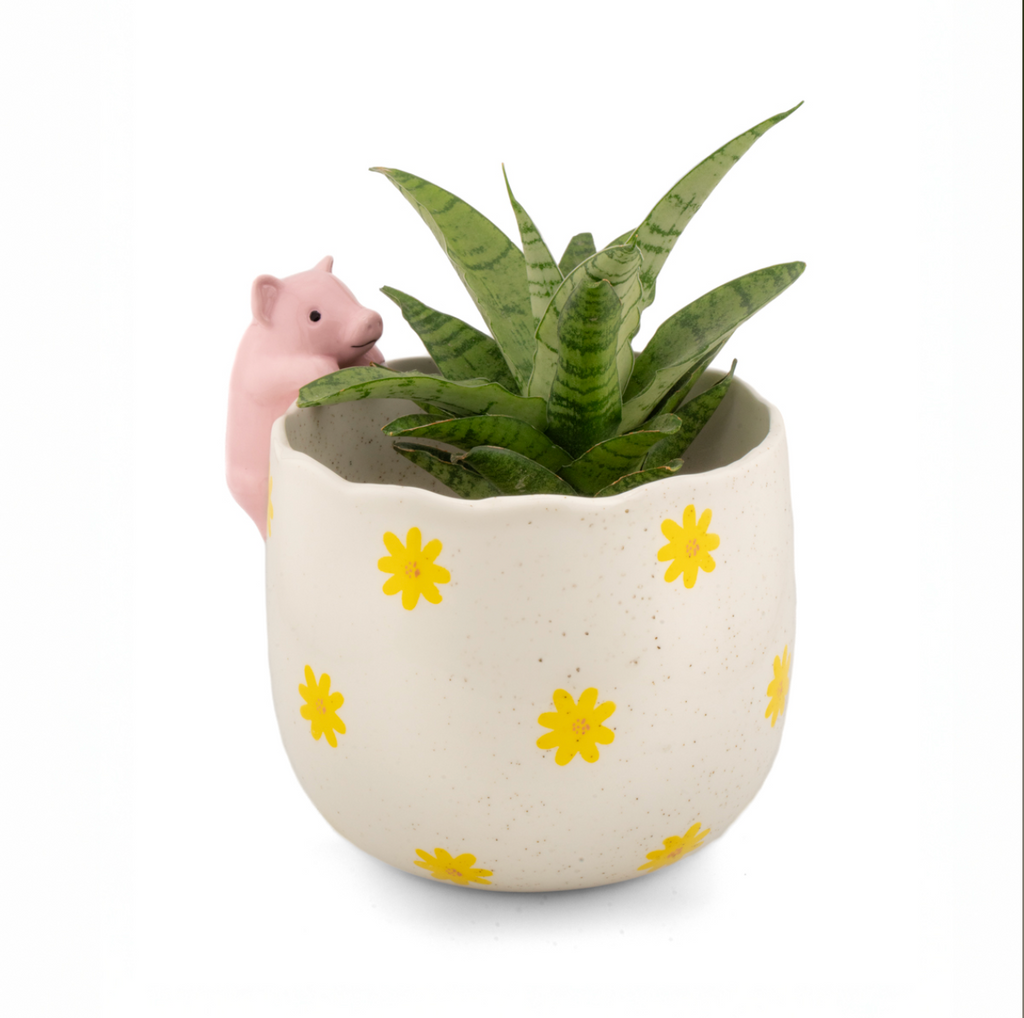 Peeking Pig Planter