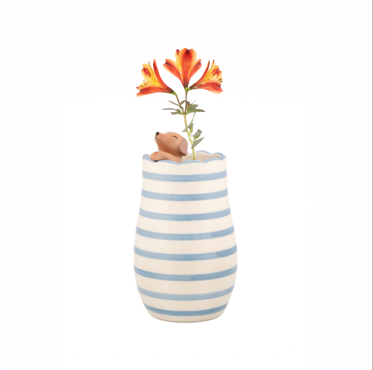 Sausage Dog Peeking Vase