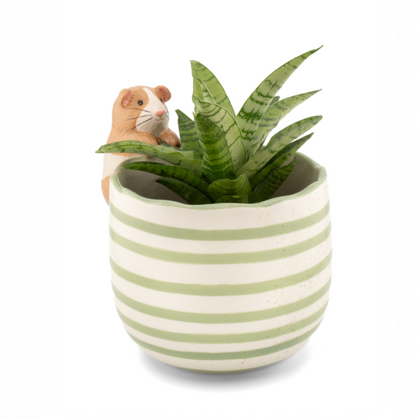 Peeking Guinea Pig Planter
