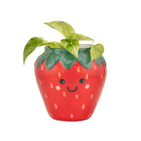 Strawberry Planter