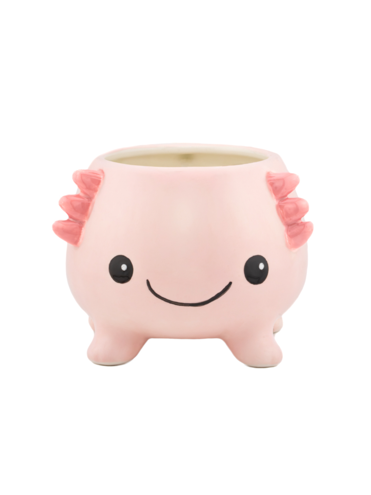 Axolotl Mug
