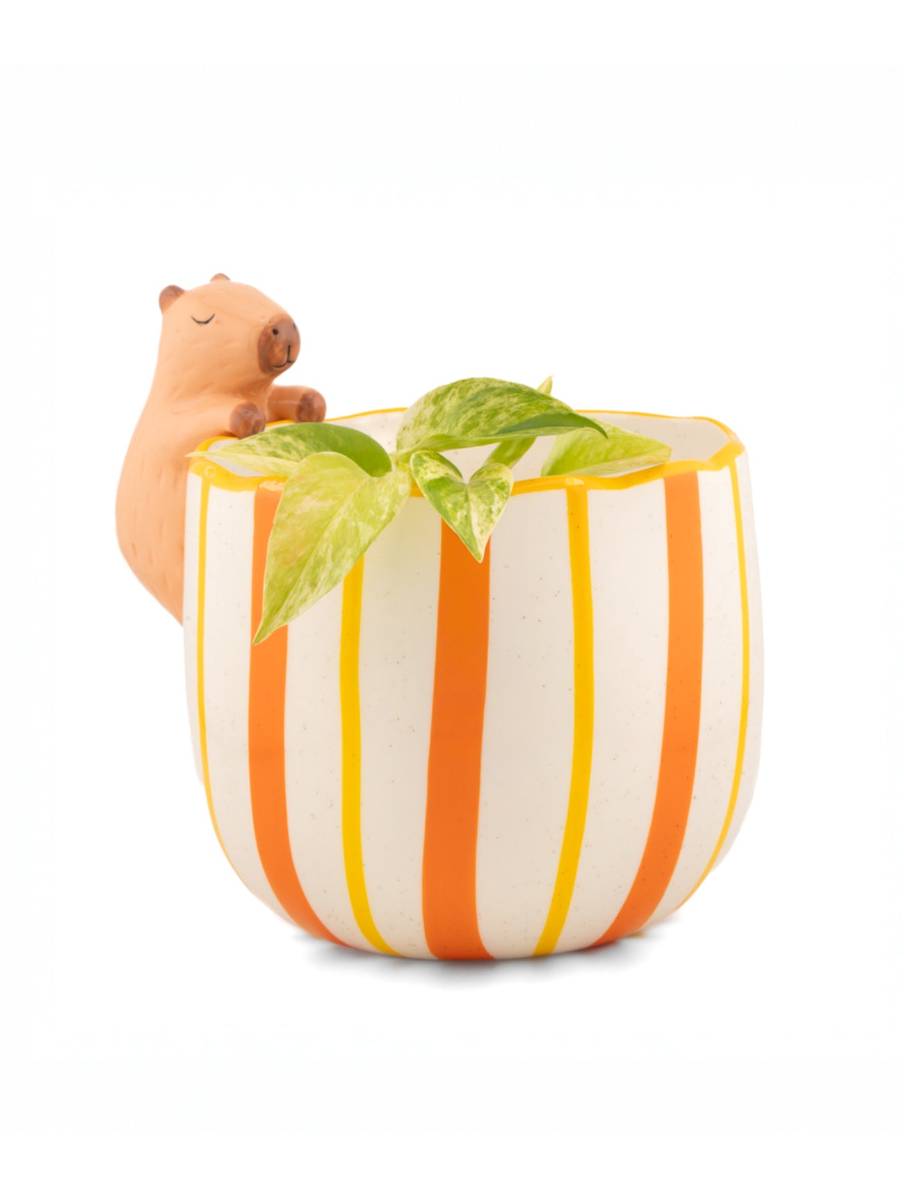 Peeking Capybara Planter