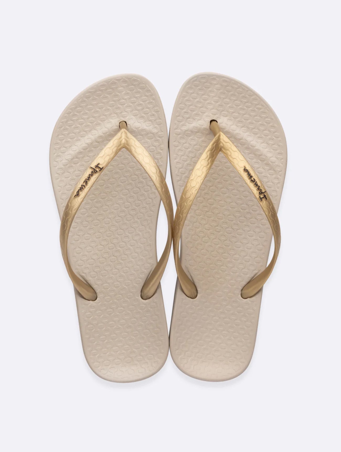 Anatomica Tan Flip Flop | Beige/Gold