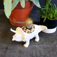 Origami Dinosaur Egg Cup | White