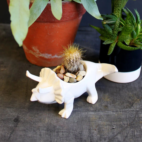 Origami Dinosaur Egg Cup | White