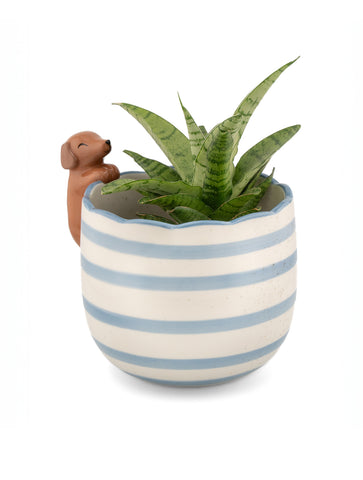 Peeking Sausage Dog Planter