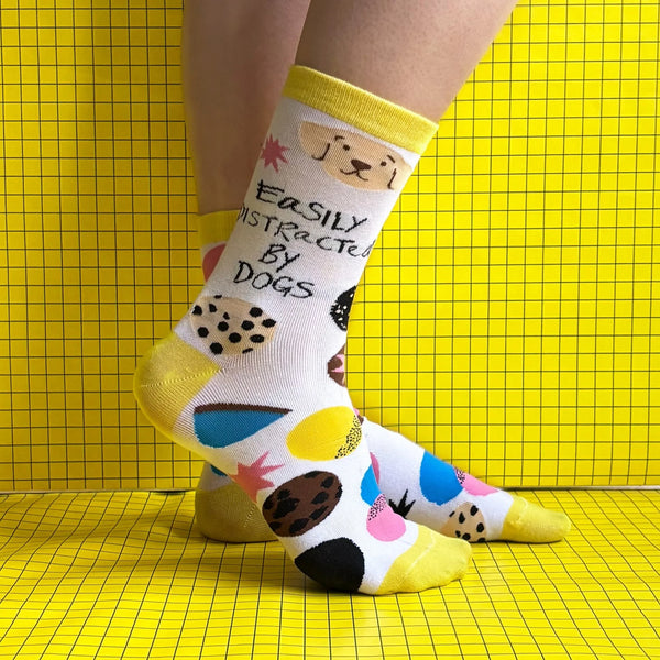 Small Talk 'Distracted by Dogs' Socks