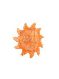 Sunshine Claw Clip